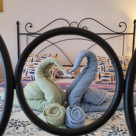 Appartamento Di Elizabeth Viareggio Dış mekan fotoğraf